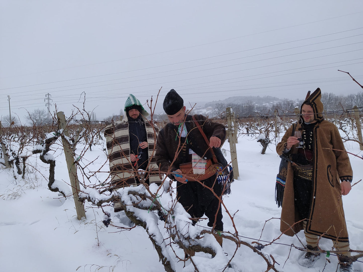 Mavrud Family Collection Bendida 2017 - NEW