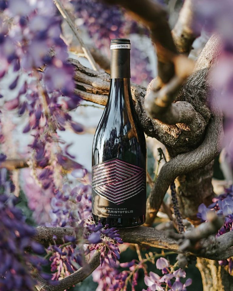 pure harmony- Via Aristotelis Merlot by Orbelia Winery