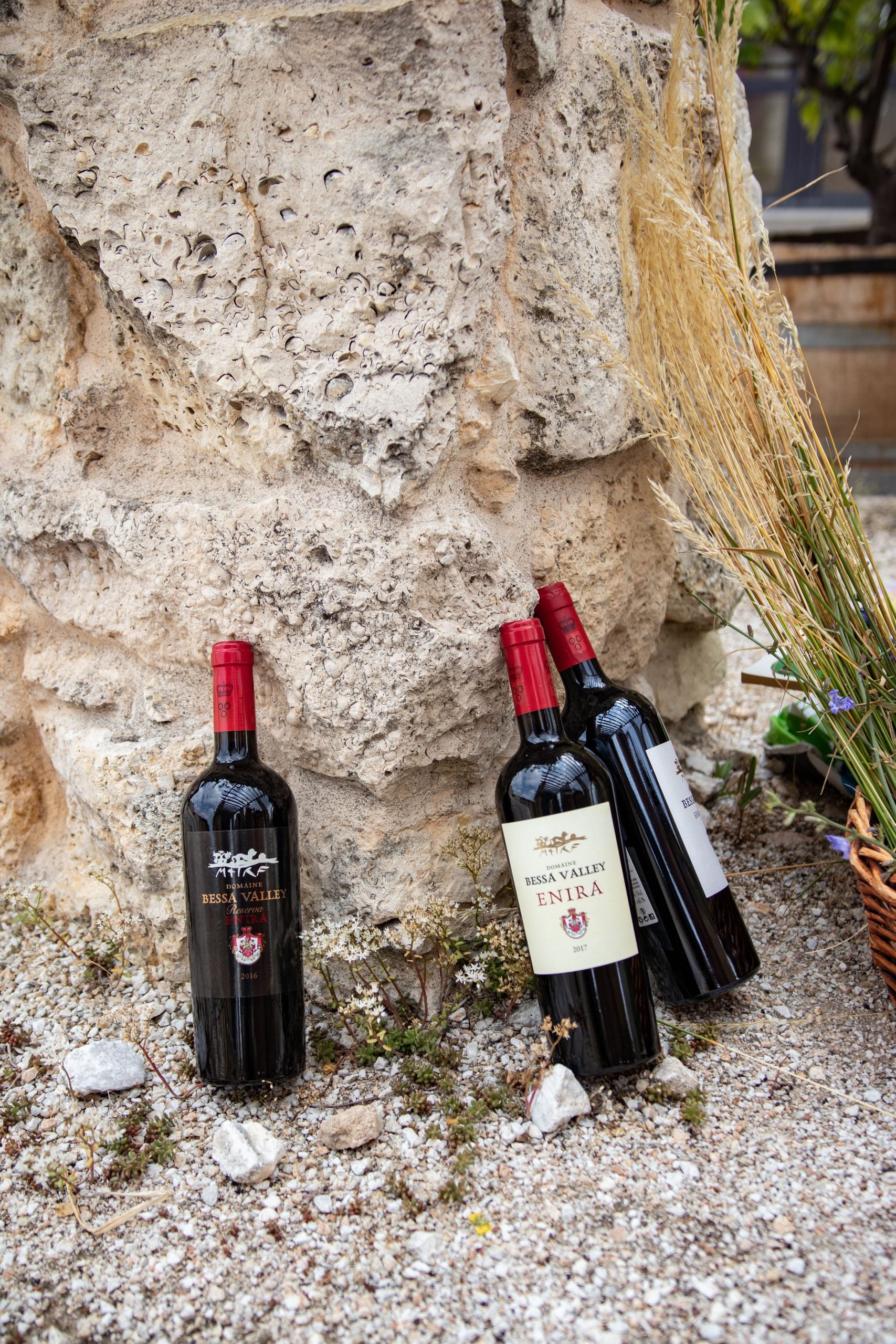 Petit Verdot 2019 sehr limitiert