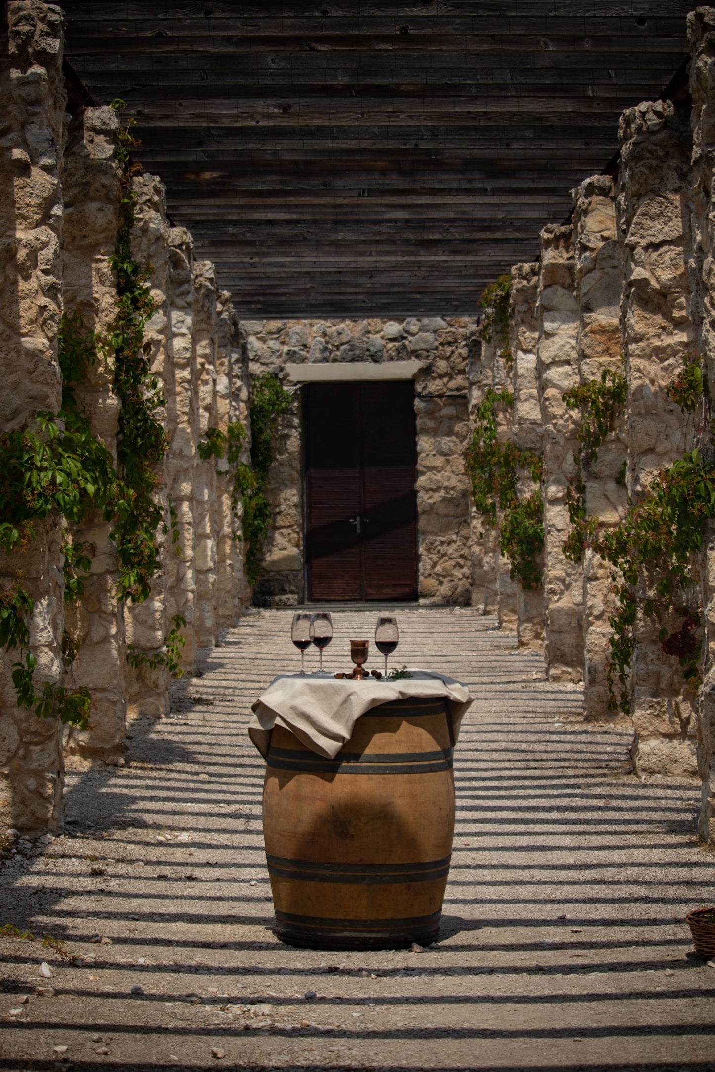 Petit Verdot 2019 very limited