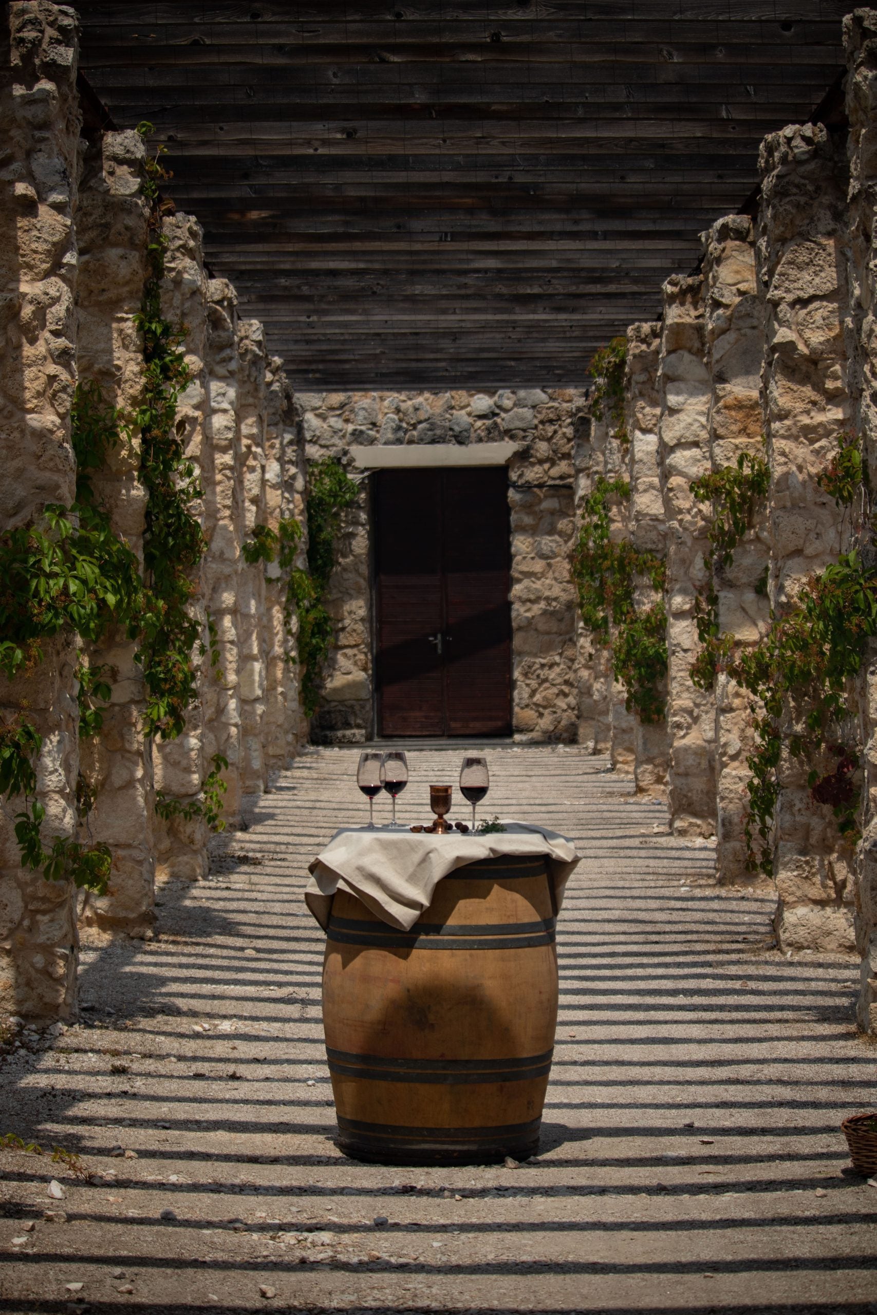 Petit Verdot 2019 sehr limitiert