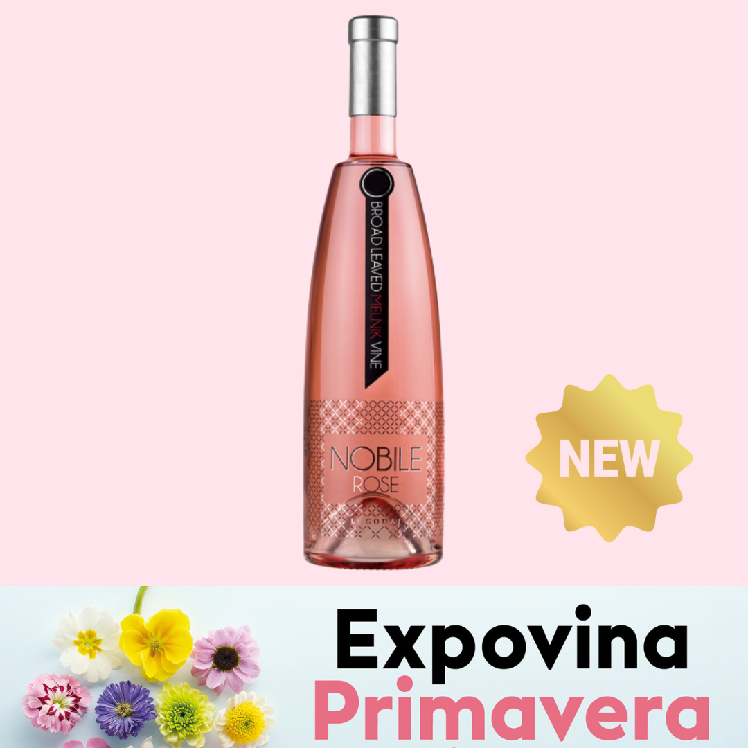 Rose NOBILE aus Melnik