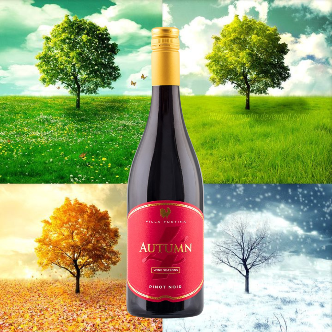 4 Seasons line- WINTER - Cabernet Franc