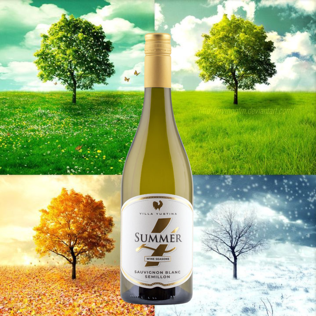 4-Jahreszeiten-Linie – Sommer – Sauvignon Blanc &amp; Semillon
