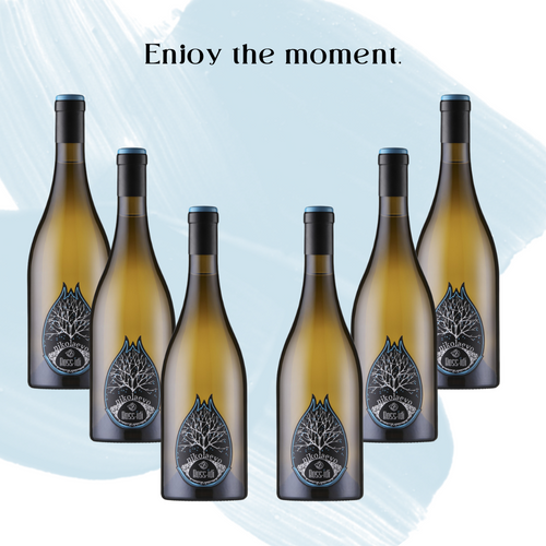 Genieße den Moment. Dein 6x Glück