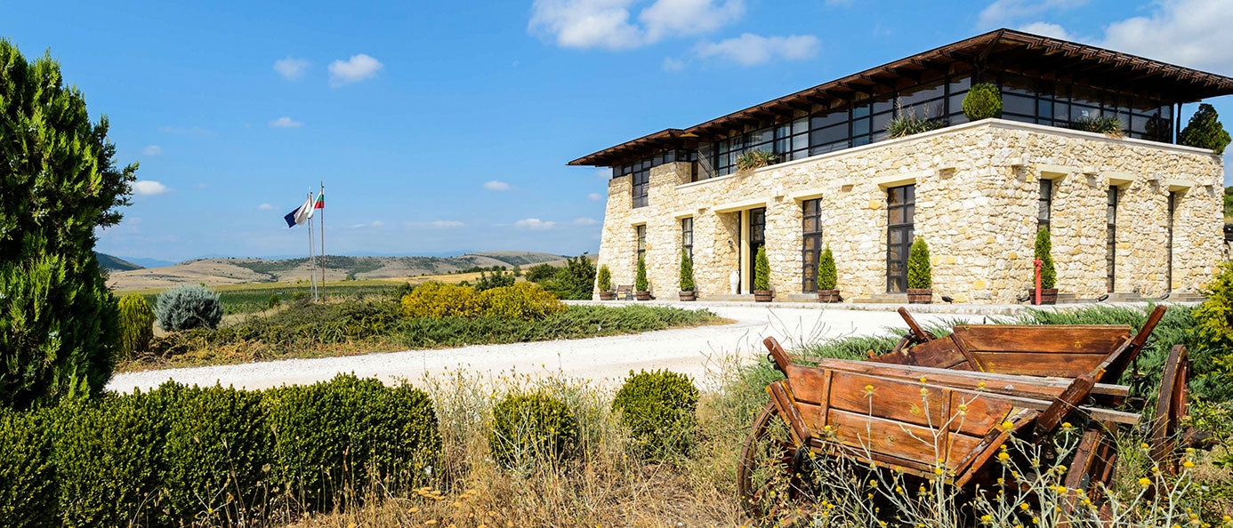 Petit Verdot 2019 sehr limitiert