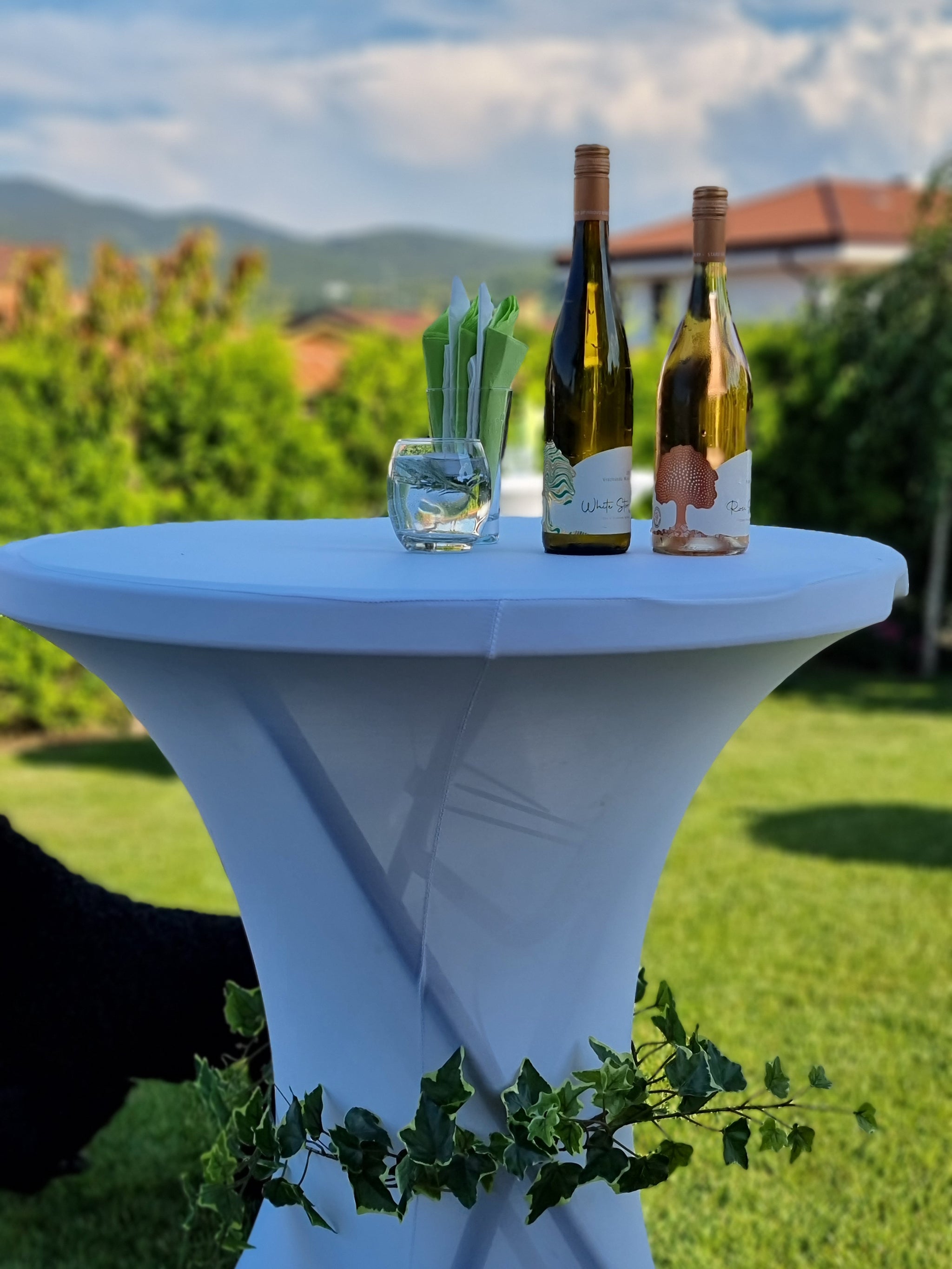 party time with Staro Oryahovo wines