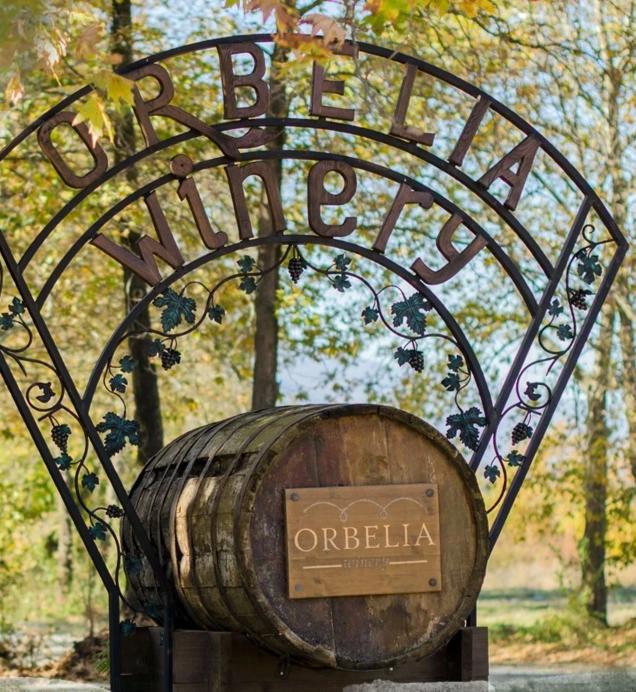 welcome to Orbelia Winery