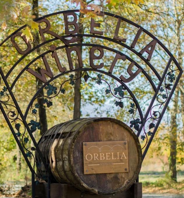 Orbelia Winery at 1wein.ch