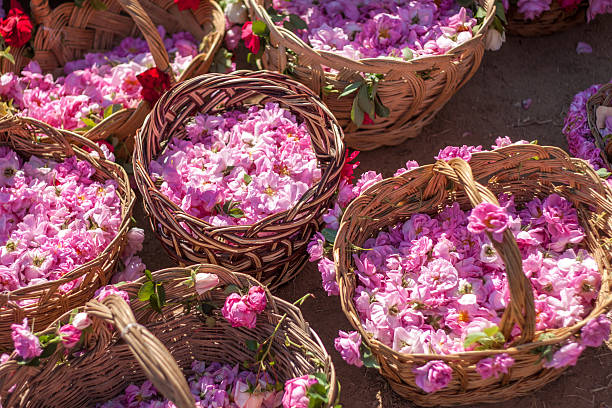 bulgarian roses from rose valley