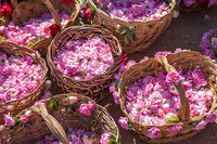 bulgarian roses from rose valley